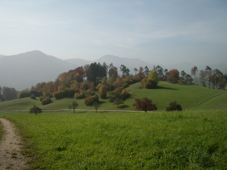 2. Solothurner Waldwanderweg 4