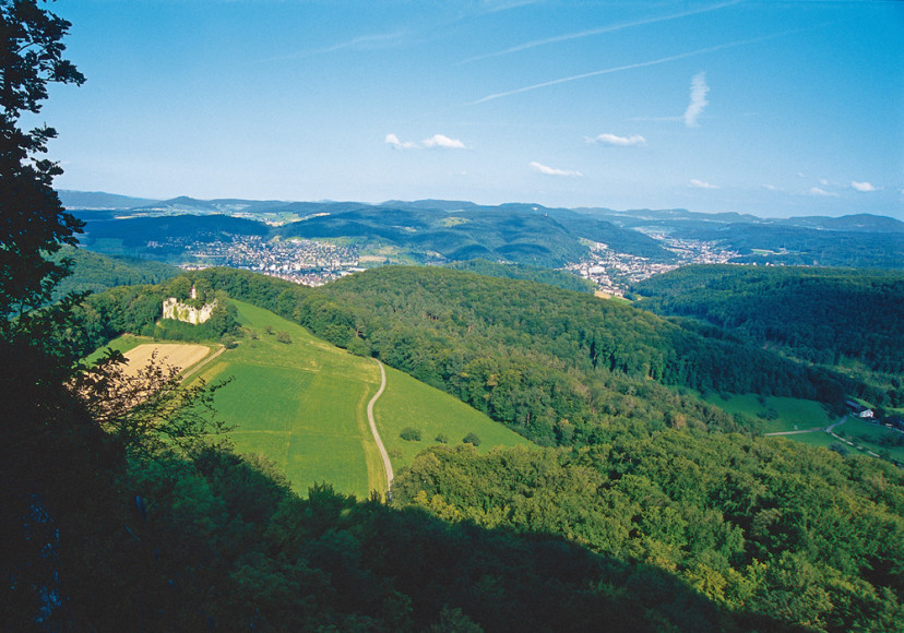 Hauptbild_Liestal_Dornach