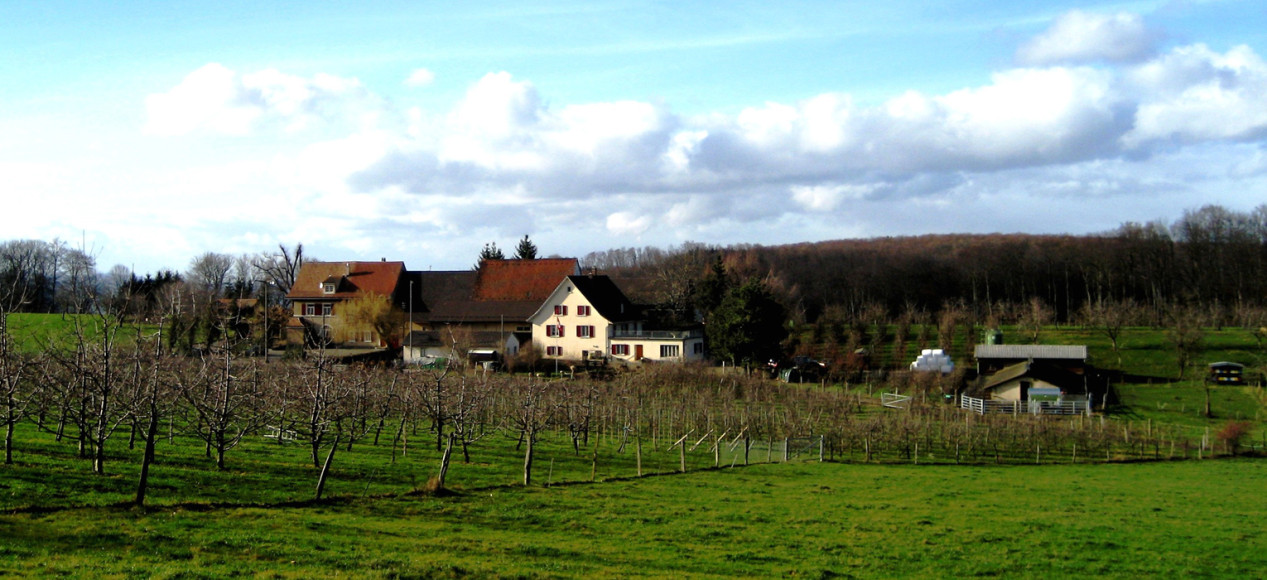 Hof_Schönmatt_Gempen_aussen2a