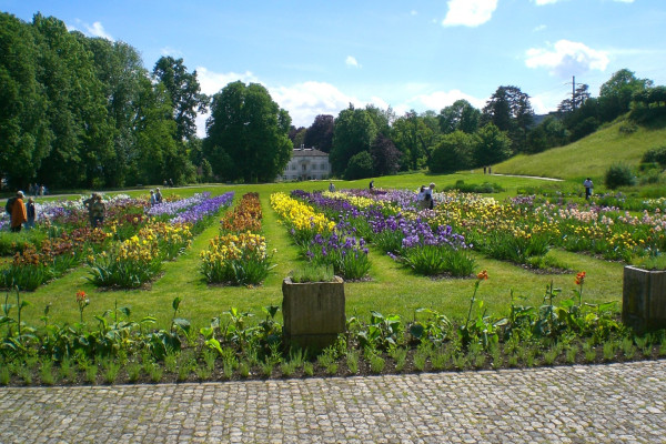 Park im Grünen - Grün 80